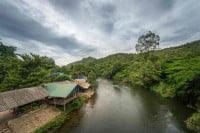 יערות הגשם של מרכז תאילנד